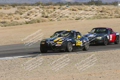 media/Feb-18-2024-Nasa AZ (Sun) [[891db5b212]]/7-Race Group A/Session 1 Turn 12 Exit-Bowl Entry/